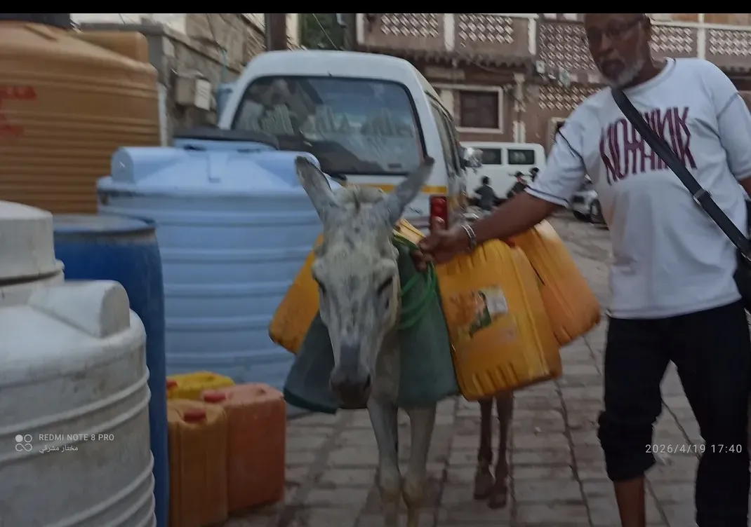 الصحفي مشرقي بجوار حماره بعدن