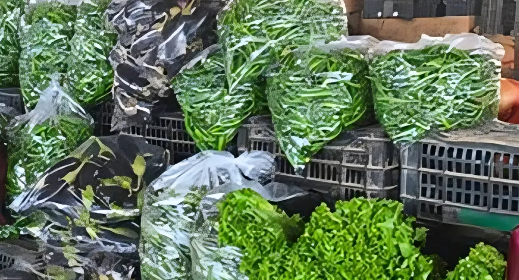 خضروات ملوثة 