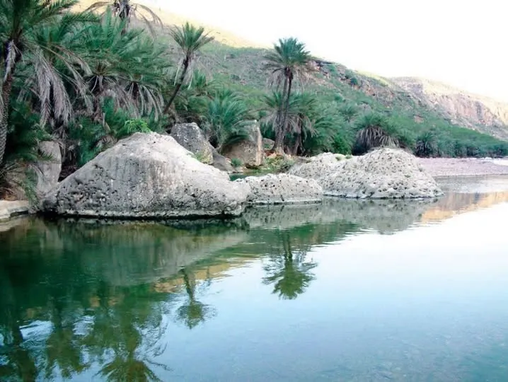 مشهد من جزيرة سقطرى اليمنية 