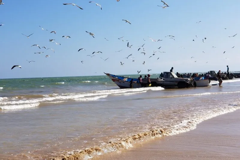 قوارب صيد في ساحل المهرة شرق اليمن